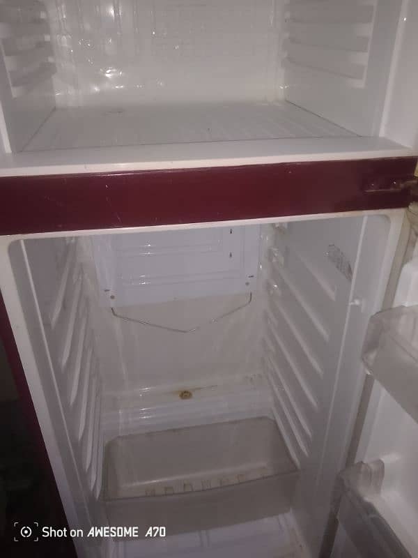 pel fridge 3