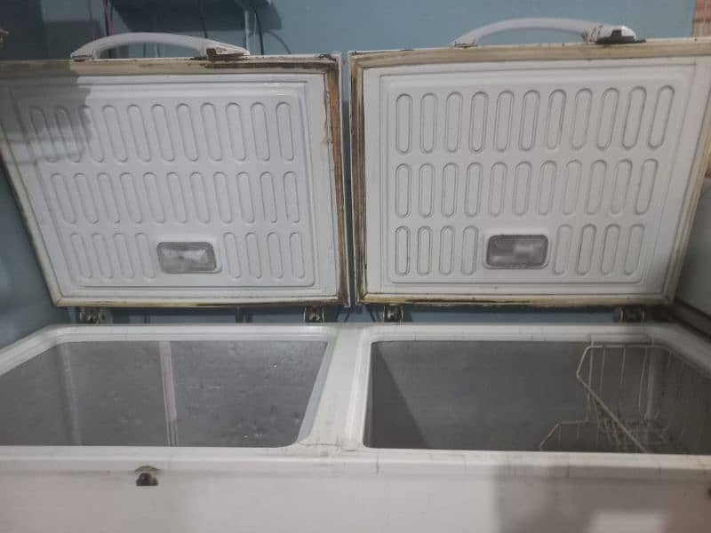 Waves Double Door DeepFreezer 1