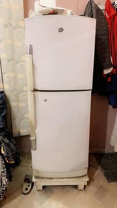 Pel Refrigerator Best Cooling