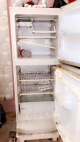 Pel Refrigerator Best Cooling 2