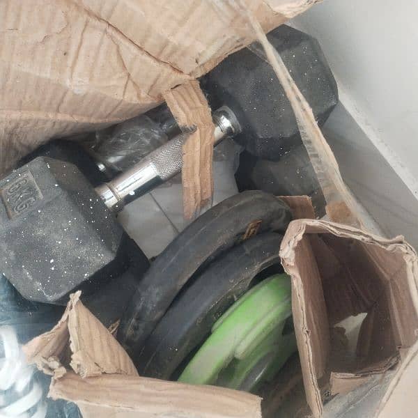 jym dumbbells for sale 5