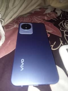 vivo