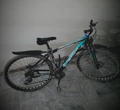 Morgan 29inch mountain bike