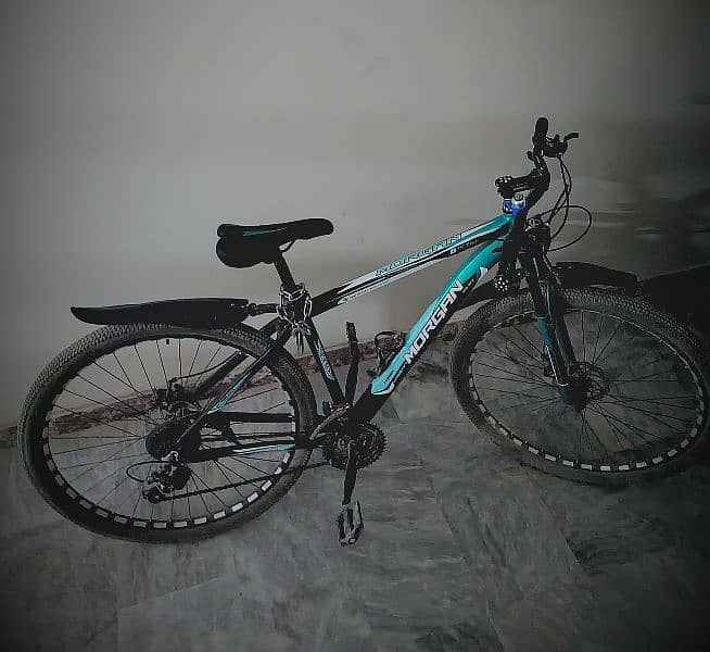 Morgan 29inch mountain bike 0