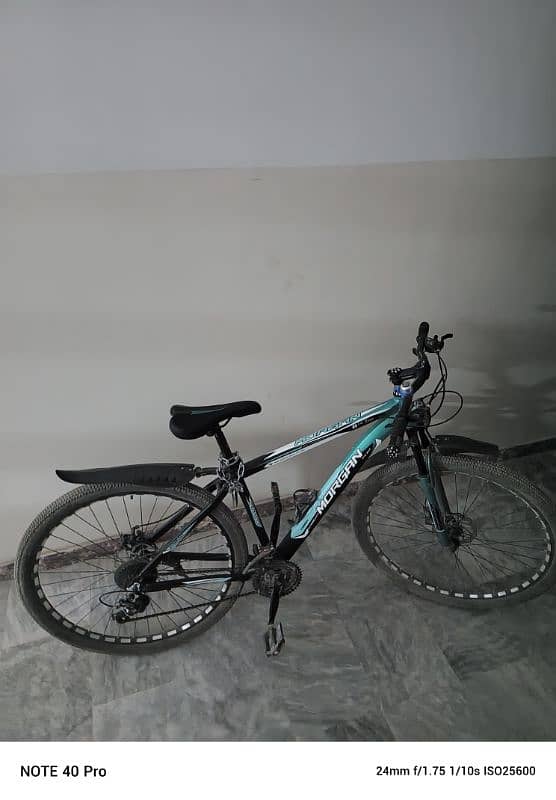 Morgan 29inch mountain bike 1