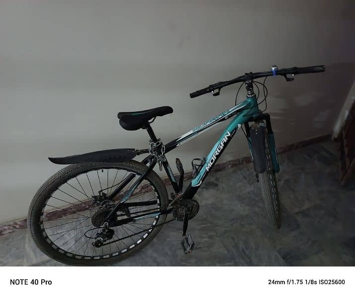 Morgan 29inch mountain bike 2