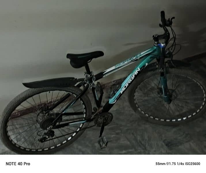 Morgan 29inch mountain bike 3