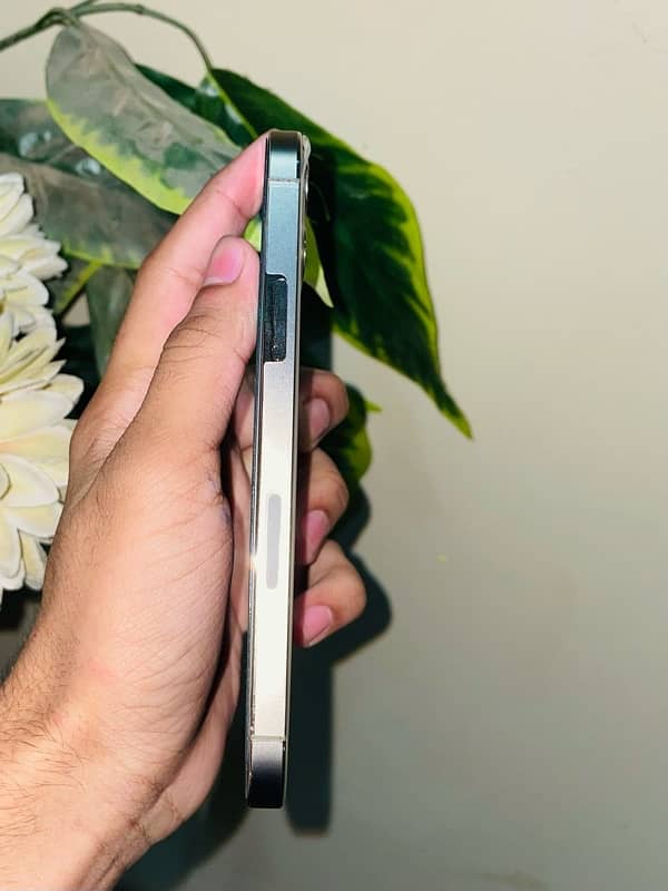 iphone 12 pro | non pta jv | 256gb 2