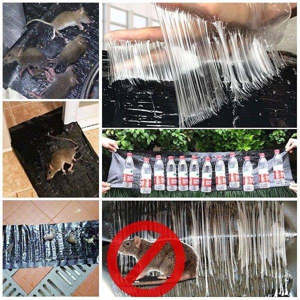 Mouse / Rate Trap Sheet 5