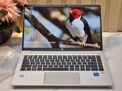 Hp ProBook 440 G8 (i5 11th Gen)(32Gb/512Gb)