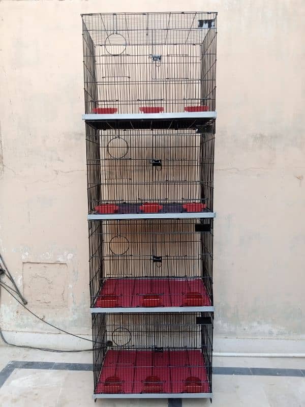 Folding Cage 1