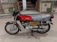 Honda 125 2024 6 month gold