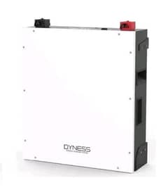 DYNESS LITHIUM ION BATTERY