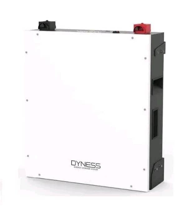 DYNESS LITHIUM ION BATTERY 0