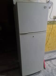 Lg large size fridge