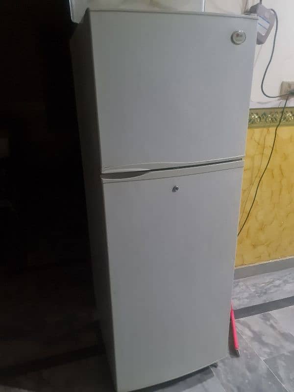 Lg large size fridge no frace 0