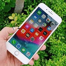 Apple iPhone 6S price 10000 only 3