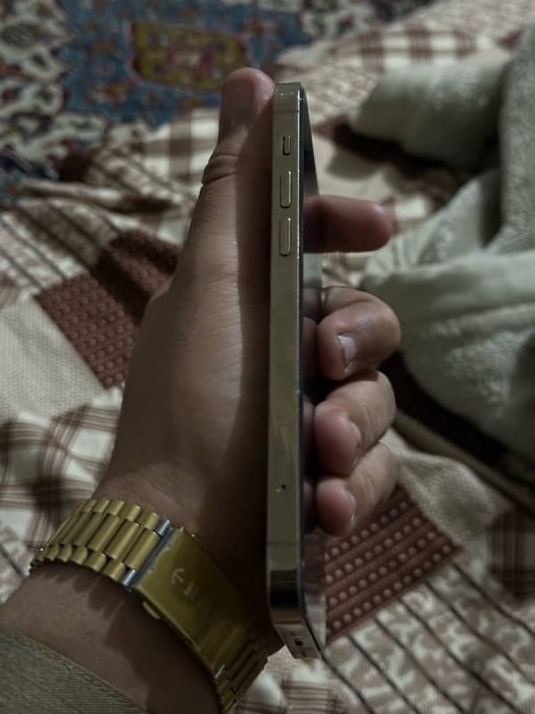 iphone 12 pro 256 Golden Jv 5