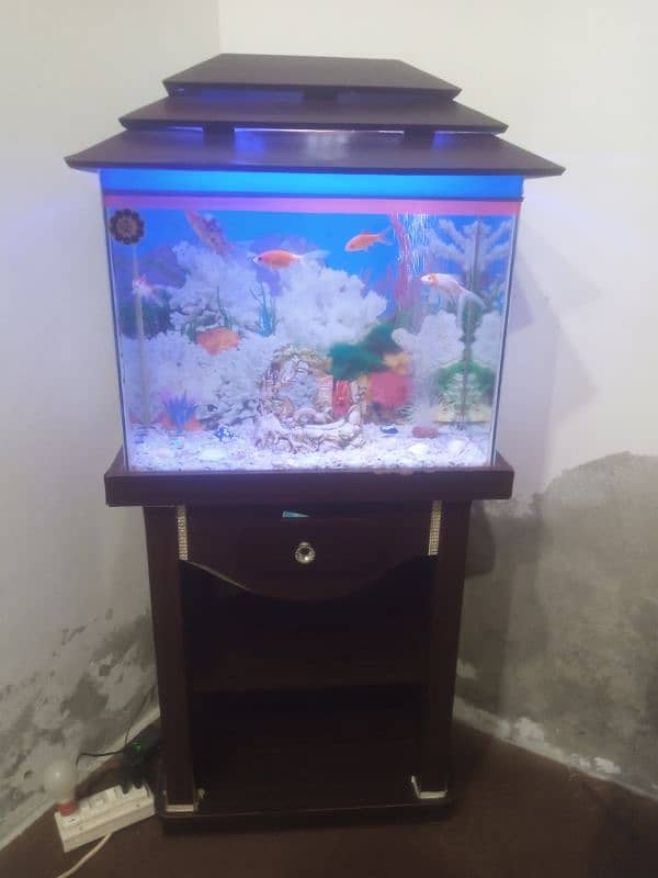 fish aquarium for sale with 9 fish 0