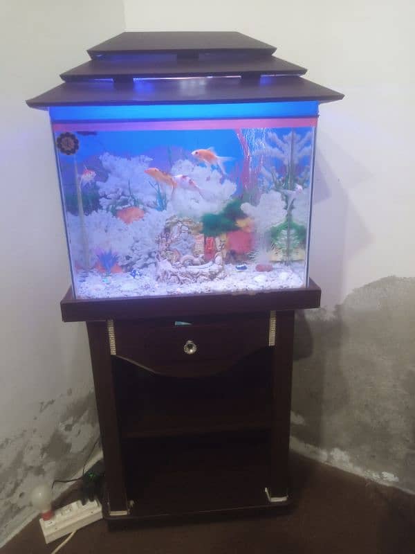 fish aquarium for sale with 9 fish 1