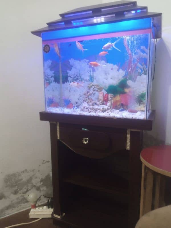 fish aquarium for sale with 9 fish 3