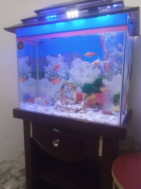 fish aquarium for sale with 9 fish 5