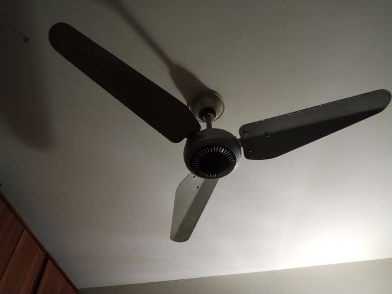 Indus ceiling fan for sale 2