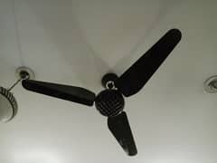 Indus ceiling fan for sale color gold black and gray