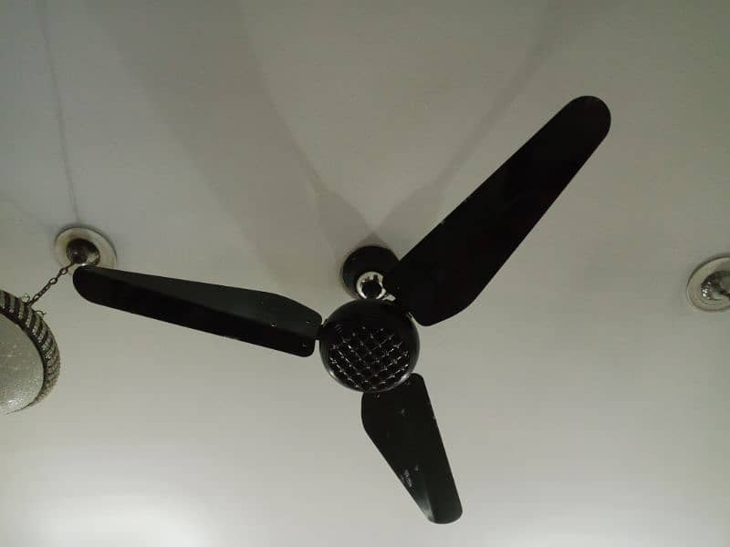 Indus ceiling fan for sale color gold black and gray 0