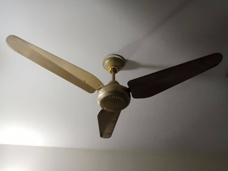 Indus ceiling fan for sale color gold black and gray 1