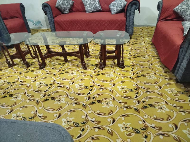 Light lemon print carpet for sale foam attecd 2