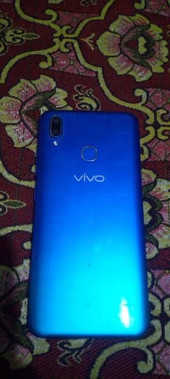 vivo