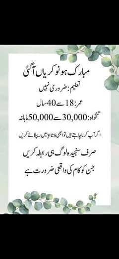 Job offar apply now