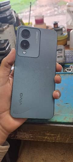 vivo