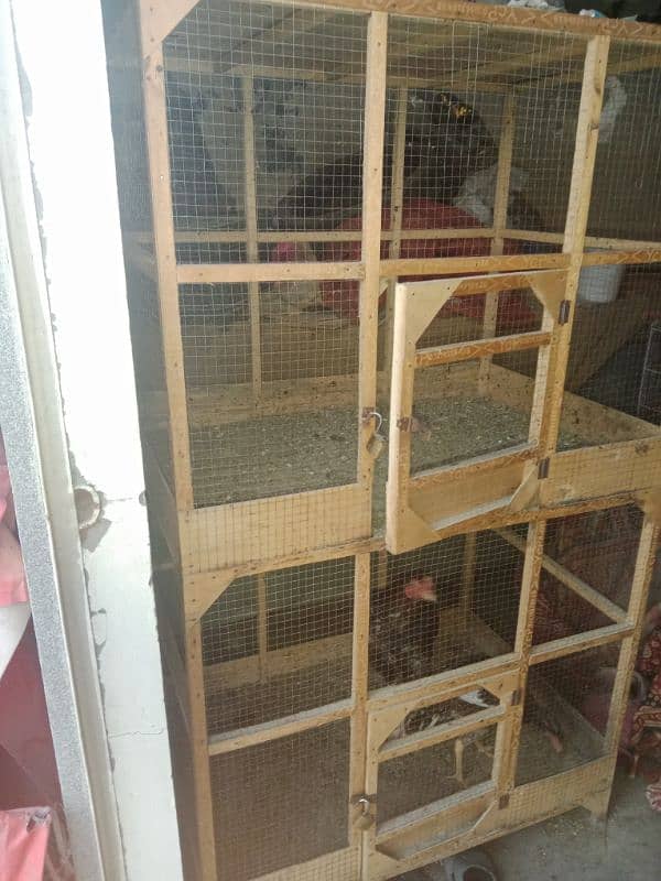 Wooden Cage for Sale 1