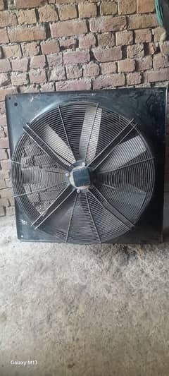 fan