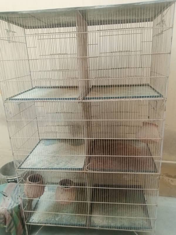 6 portionn hen cage for sale 4