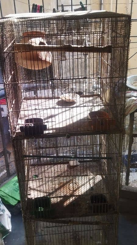 bird cage 2