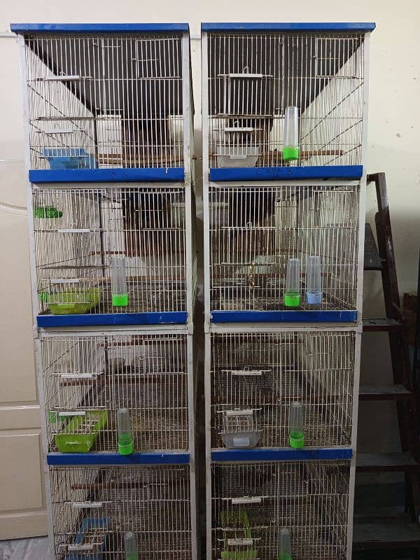 Cage Pinjara for Sale 3