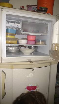 PEL refrigerator 03153782452