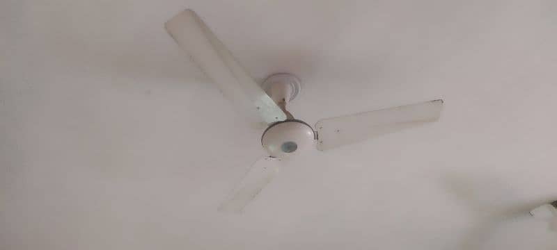 03 Pak fan for sale 0