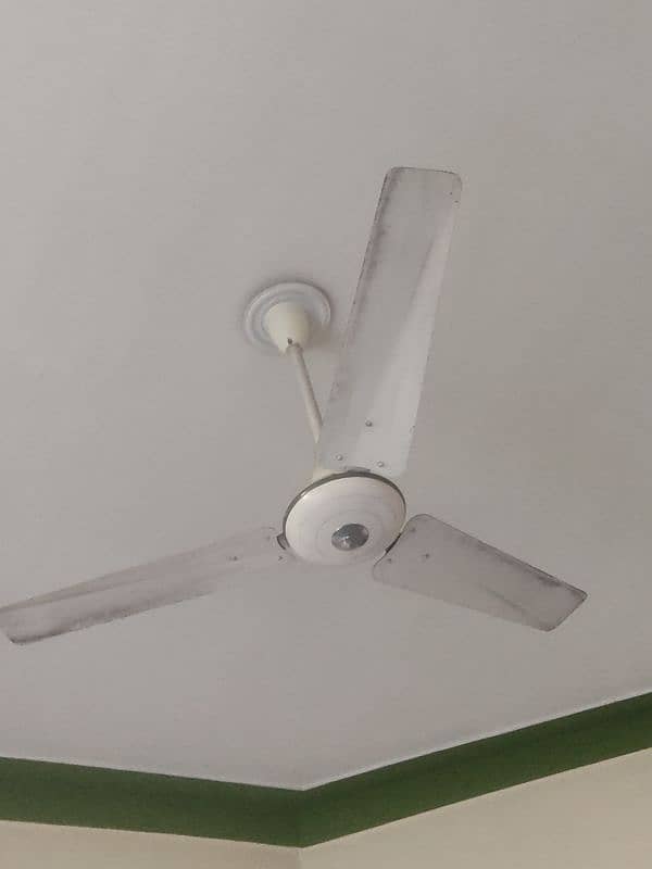 03 Pak fan for sale 2