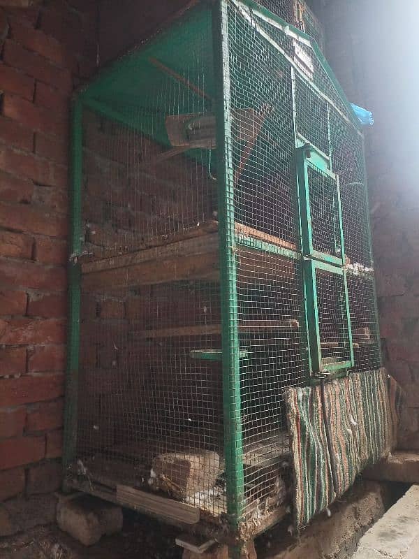 Cage For Sale 1