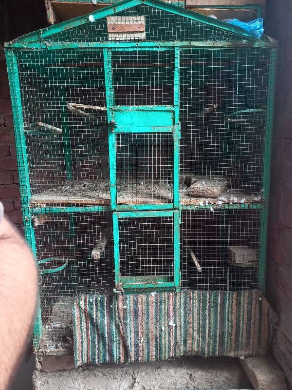 Cage For Sale 3