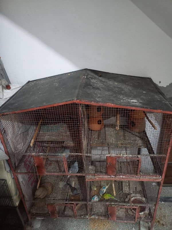 Cage For Sale 9