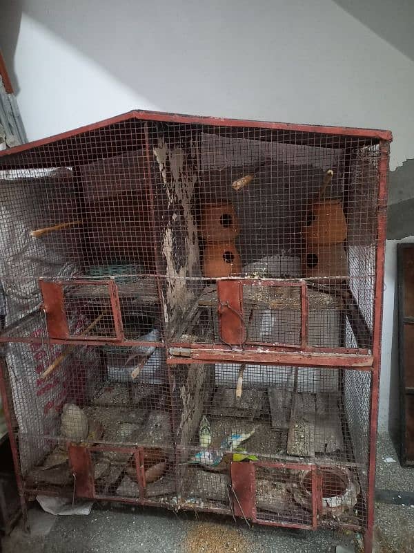 Cage For Sale 10