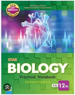 Practical Notebooks and Assignments Writing