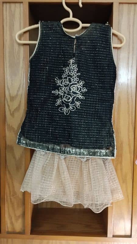 Slightly used baby girls fancy dresses / clothes 13