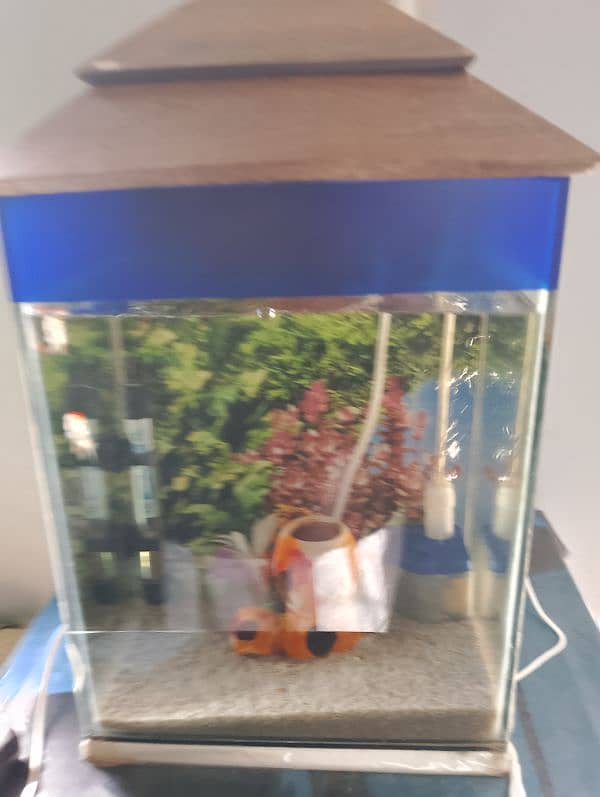 Aqurium With 2 Goldfish 5