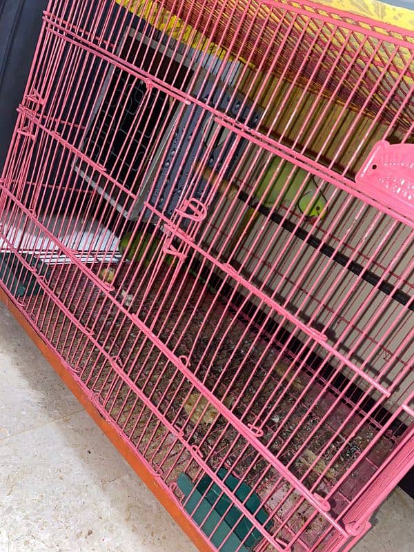 new condition cage for sale 2